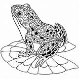 Toad Coloringbay Toads sketch template