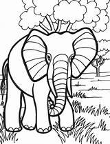 Colorat Elefant Mewarnai Elefante Planse Kolorowanki Druku Kolorowanka Desene Slon Hewan Pemandangan Antelope Zwierzeta Elephants Elefantes Formacie Africanos Dll Vivem sketch template