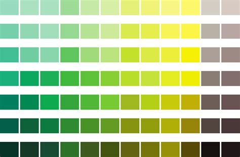 pantone color chart  muellerssitepics