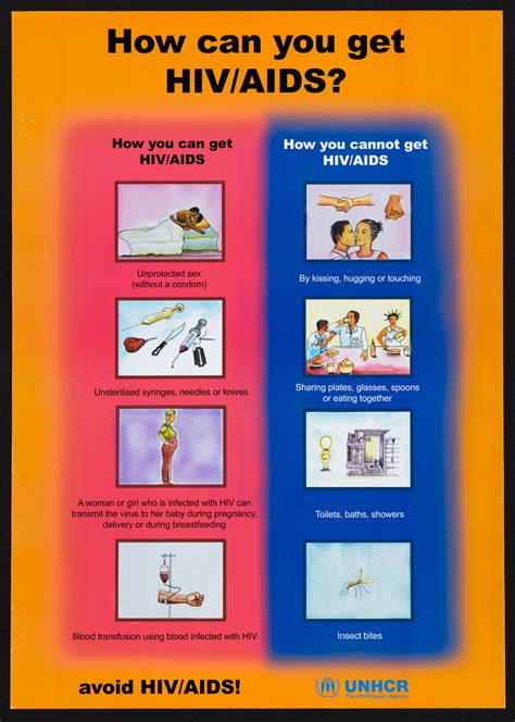 How Can You Get Hiv Aids Avoid Hiv Aids Aids Education Posters