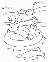 Coloring Crocodile Pages Popular Bath sketch template