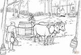 Coloring Maple Syrup Oxen Pulling Sled Pages Barrel Drawing Printable sketch template