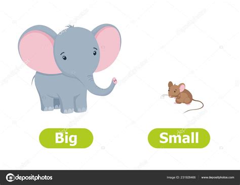 vector antonyms opposites big small cartoon characters illustration white background stock