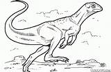 Lesothosaurus Ausmalbilder Malvorlagen Colorkid Dinosauri Dinosaurios Dinosaurs Dinozaury Dinosaurier Kolorowanki Dinossauros Nodosaurus Dibujo sketch template