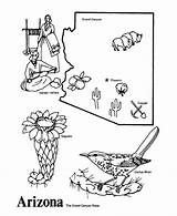 Arizona Printables Flower Demographic Designlooter Symbols Daycare sketch template