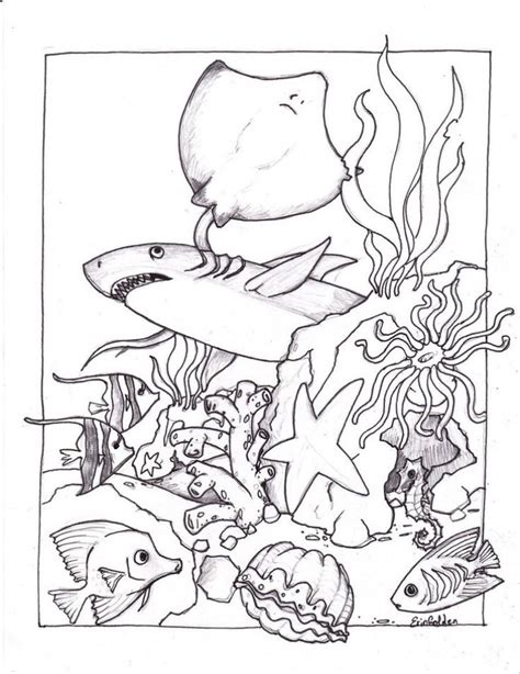 ocean animals coloring pages urb