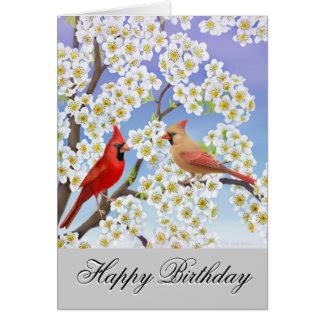 cardinal birthday gifts  shirts art posters  gift ideas