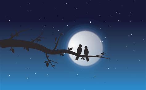 night love moon  vector graphic  pixabay