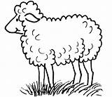 Mouton Coloriage Sheep Animaux Maternelle Coloriages Berger Imprimer Dessins Shaun Environnement Rigolo sketch template