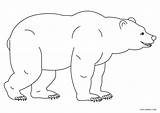 Grizzly Bears Ausmalbild Cool2bkids Bär Baren Attack Attacking Elk sketch template