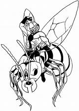Homem Formiga Vespa Colorear Wasp Colorare Avispas Hormiga Cavalca Disegni Montando Avispa Dibujos Monta Montar Colora Obelix Asterix Cartonionline Num sketch template