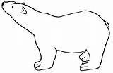 Bear Polar Outline Coloring Drawing Pages Template Printable Standing Bears Baby Color Easy Stencil Print Coca Cola California Crafts Cut sketch template