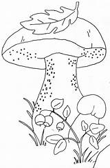 Printable Hongos Ausmalbilder Colouring Applique Bordado Pilze Bordar Ausmalen Mushrooms Malvorlagen Setas Drawing Infantiles Scarlet Robin Cogumelos Bordados Mexicano Riscos sketch template