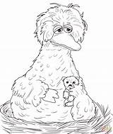 Coloring Bird Big Pages Count Nest Her Von Sesame Street Sitting Printable Popular Drawing Coloringhome sketch template
