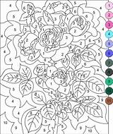 Number Color Coloring Pages Printable Mandala Paint Books Colouring Printables Nicole Peters Nancy Pink sketch template