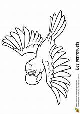 Perroquet Dessins Hugolescargot Vole Perroquets Peroquet Oiseau Coloriages Partager Gratuit Dessiner sketch template