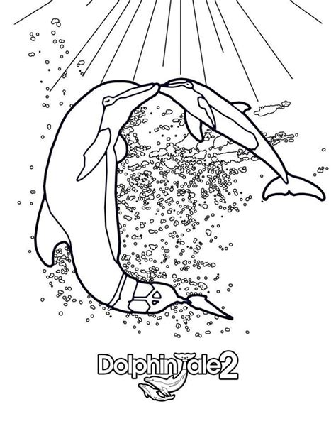 print  colour  dolphin tale dolphin tale  coloring pages