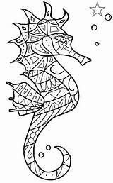 Seepferdchen Ausmalbild Seepferd Ausmalbilder Tiere Artus Traumhafte Motive Downloaden sketch template