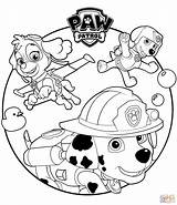 Paw Colorare Marshall Firetruck sketch template