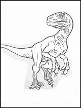 Velociraptor Jurassic Ausmalbilder Drawing Dinosaurier Raptor Dinosaurs Colouring Faciles Websincloud Printable sketch template