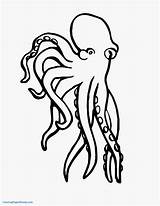Squid Coloring Pages Getcolorings sketch template