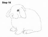 Lop Bunny How2drawanimals sketch template