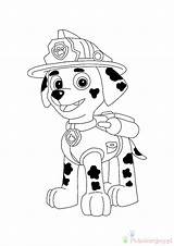 Paw Coloriage Dalmatien Ambulancier Psi Kolorowanki Dessin Coloring1 Imprimer Dzieci Patrolu Bohaterowie sketch template