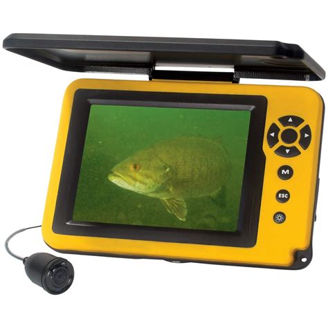 aqua vu av micro  underwater camera  dvr  ice fishing electronics  sportsmans guide