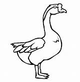 Goose Coloring Pages Color Animal Animals Kids Sheets Print Back sketch template