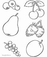 Fruit sketch template