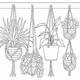 Plant Colouring Hang sketch template