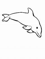 Dolphin Coloring Pages Baby Cute Clipart Dolphins Choo Cliparts Train Bowling Mermaid Clip Library Template Presentations Projects Websites Reports Powerpoint sketch template
