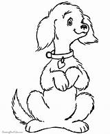 Coloring Printable Pages Dog Popular sketch template
