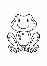 Grenouille Frogs Grenouilles Colorier Toad Coloriages Toads Coloringbay sketch template