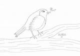 Vögel Vogel Malvorlagen Zwitschern Ausmalbilder Ast Lied Sitzt sketch template