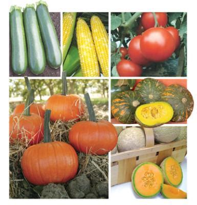 varieties fruit vegetable magazinefruit vegetable magazine