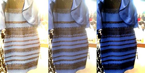 Be Dialectical The Dress Is Both Black And Blue And White