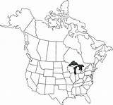 Map Coloring North America Pages Canada Vietnam Colouring States United Getcolorings Development Getdrawings Color Drawing Printable Colorings sketch template