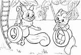 Coloring Swing Tire Swinging Pages Cat Squirrel Printable Categories sketch template