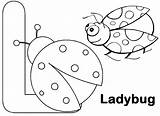 Ladybug Coloring Template sketch template