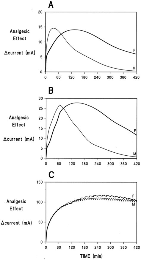 Sex Differences In Morphine Analgesia Anesthesiology American