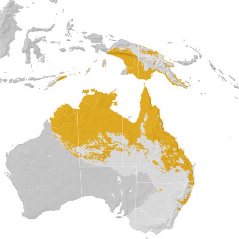 channel billed cuckoo range map post breeding migration ebird status  trends