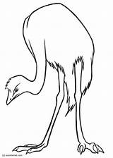 Emu Colorare Malvorlage Educolor Ausmalbilder Große Scarica sketch template