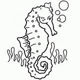 Seahorse Popular sketch template