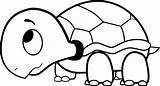 Turtle sketch template