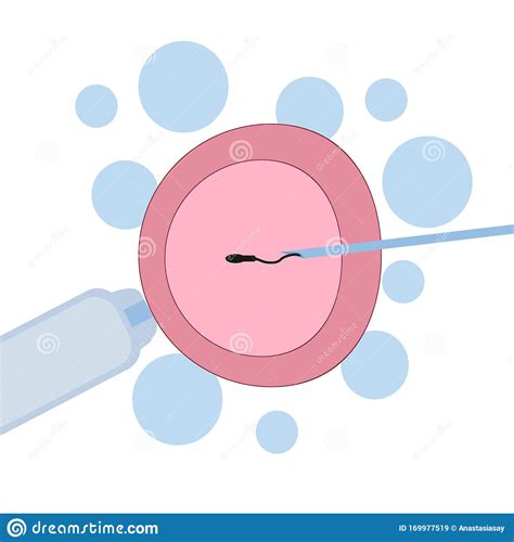 Human Sperm Cell Icon Icon Cartoon Vector Illustration Cartoondealer