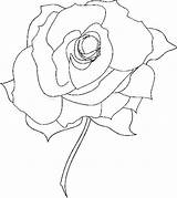 Rose Coloring Pages Flower Drawing Compass Color Roses Printable Underground Dying Print Flowers Drawings Getdrawings Marvellous Gif Getcolorings Sonic sketch template