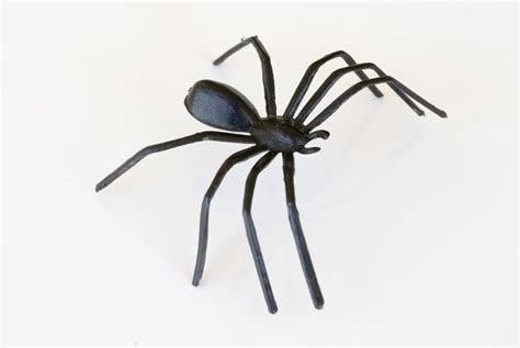 image  black toy spider creepyhalloweenimages