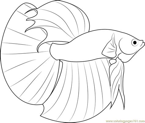 betta fish coloring page   fish coloring pages