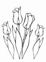 Lente Kleurplaat Fleur Coloriage Tulipe Kleurplaten Stemmen sketch template